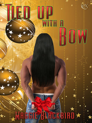 cover image of Tied Up with a Bow
